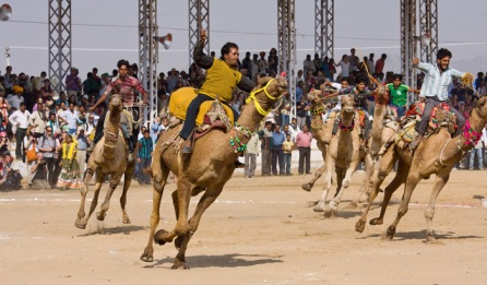 Pushkar camel fair - pushkar tour
